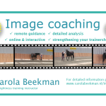 image coaching - introduction offer