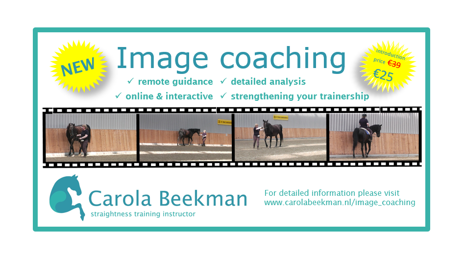 image coaching - introduction offer
